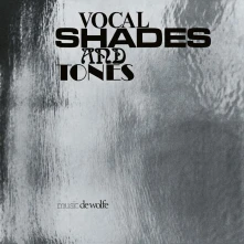 Vinyl VOCAL SHADES AND TONES