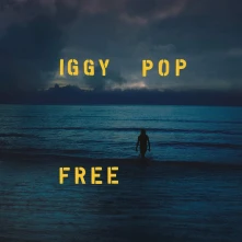 Vinyl FREE
