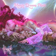 Vinyl MANIC DREAM PIXIE
