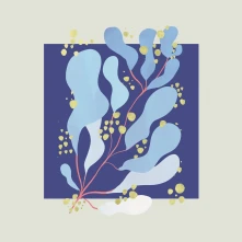 Vinyl Salamanda - In Parallel