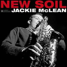 Vinyl NEW SOIL