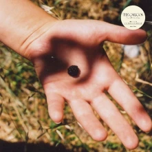 Vinyl THE SOFT LANDING