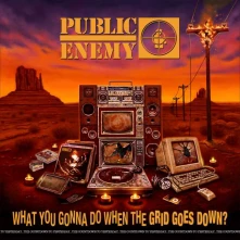 Public Enemy, CD WHAT YOU GONNA DO WHEN THE
