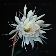 Vinyl Exploding Star