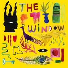 Vinyl WINDOW