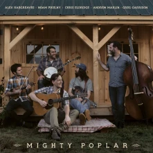 Vinyl MIGHTY POPLAR
