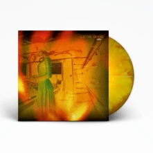 Vinyl ADA