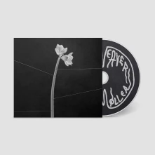 CD DREAMWEAVER