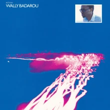 Vinyl ECHOES
