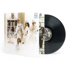 Vinyl DREAM POLICE