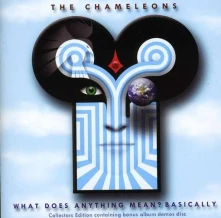 CD CHAMELEONS - WHAT DOES ANYTHING MEAN