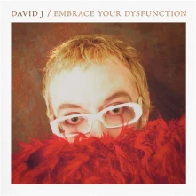 David J, CD EMBRACE YOUR DYSFUNCTION