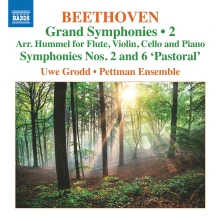 CD Grodd, Uwe / Pettman Ense - Beethoven: Grand Symphonies 2: Symphony Nos. 2 & 6 Pastoral