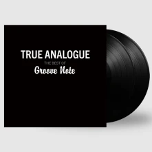 Vinyl TRUE ANALOGUE