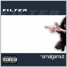 Vinyl THE AMALGAMUT
