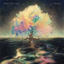 Vinyl EVERY LAST LEAF
