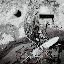 Vinyl SECRETS OF THE BEEHIVE