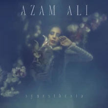 CD SYNAESTHESIA