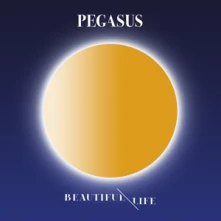 CD Beautiful Life