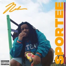 Vinyl SPORTEE