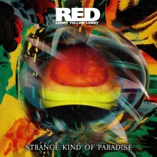 CD STRANGE KIND OF PARADISE