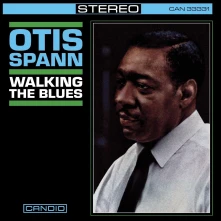CD WALKING THE BLUES