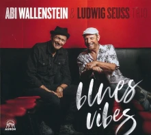 CD BLUES VIBES