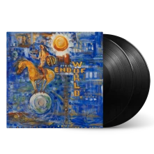 Vinyl END OF WORLD