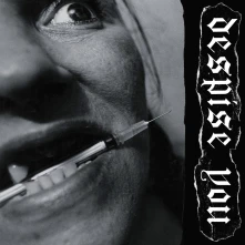 Vinyl DESPISE YOU - WEST SIDE HORIZONS