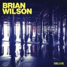 CD WILSON BRIAN - NO PIER PRESSURE