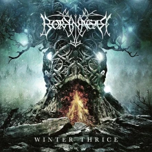 Vinyl WINTER THRICE