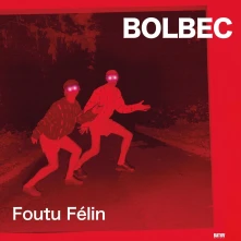 Vinyl FOUTU FELIN