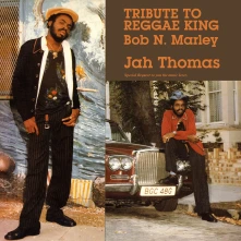 Vinyl TRIBUTE TO REGGAE KING...