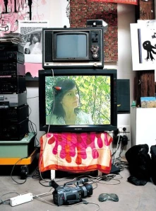 DVD MINUSCULE DOCUMENTARY
