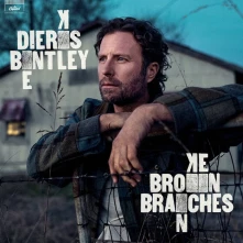 CD BROKEN BRANCHES