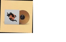 Vinyl 5K (MINI-ALBUM / GOLDF...