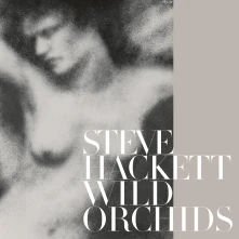 Vinyl Wild Orchids (Vinyl Re-Issue 2023)