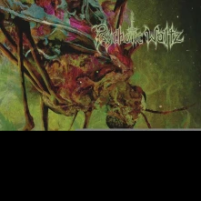 CD Mosquito (Re-issue 2024)
