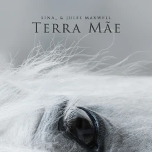 CD TERRA MAE