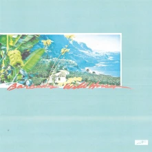 Vinyl BARBADOS WILD HORSES