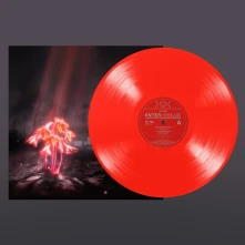 Vinyl ENTER SHIKARI - A KISS FOR THE WHOLE WORLD