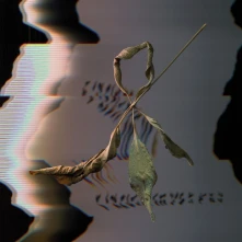 Vinyl Gowdy, T. - Trill Scan