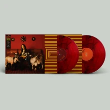 Vinyl Tsha - Capricorn Sun