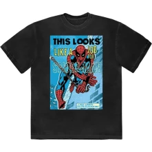 Looks Like A Job For Spiderman thumbnail