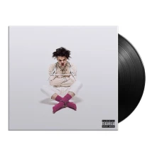 Vinyl 21st Century Liability
