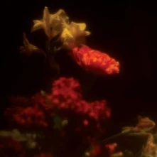 CD Gerstmans, Gregoire - Hypnagogie