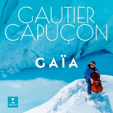 Vinyl GAIA