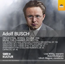 CD ORCHESTRAL WORKS VOLUM...