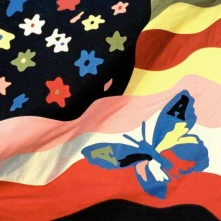 CD Wildflower