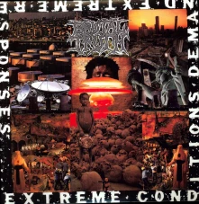 Vinyl Extreme Conditions Demand Extreme Responses